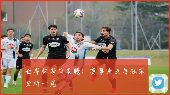 世界杯每日前瞻：赛事看点与独家分析一览